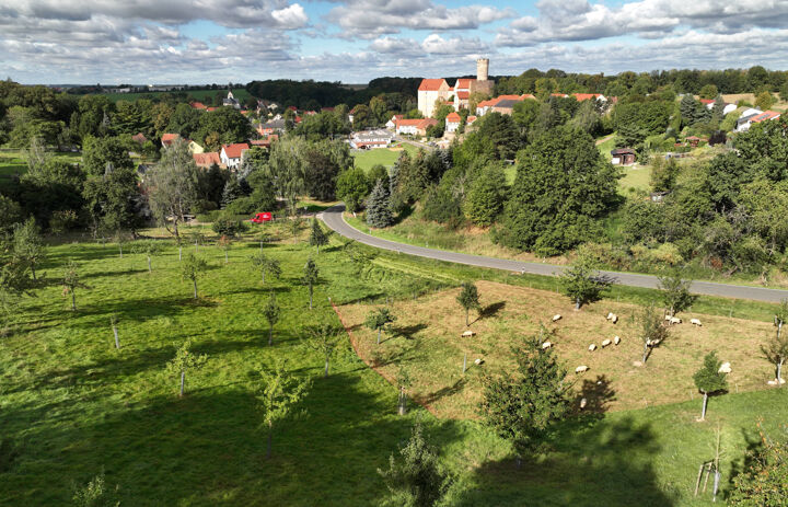 Luftaufnahme der Streuobstwiese Gnandstein mit der Burg im Hintergrund.