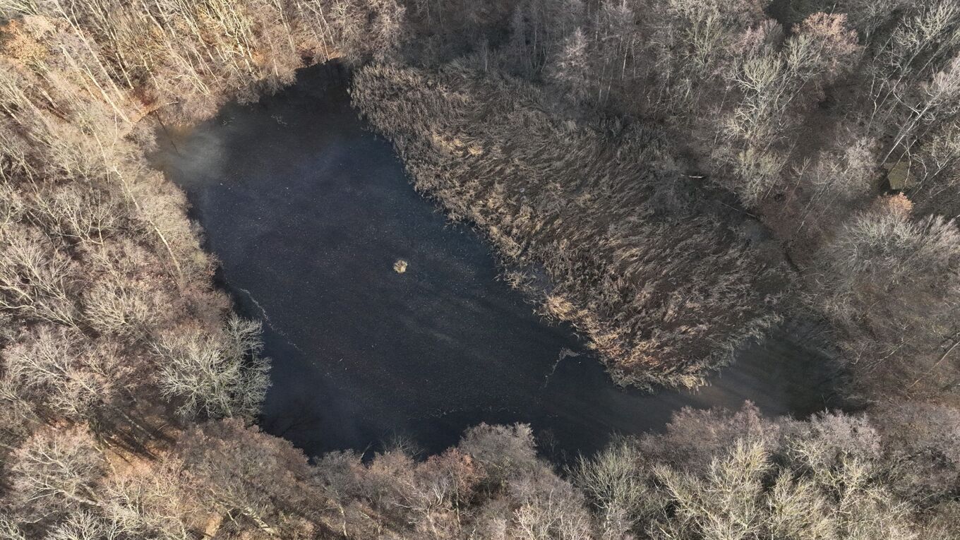 Luftaufnahme vom Burgstädtel-Teich