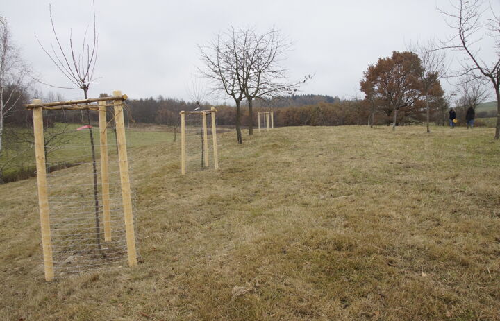 Streuobstwiese auf der LaNU-Fläche Weißbach Biotopwiese