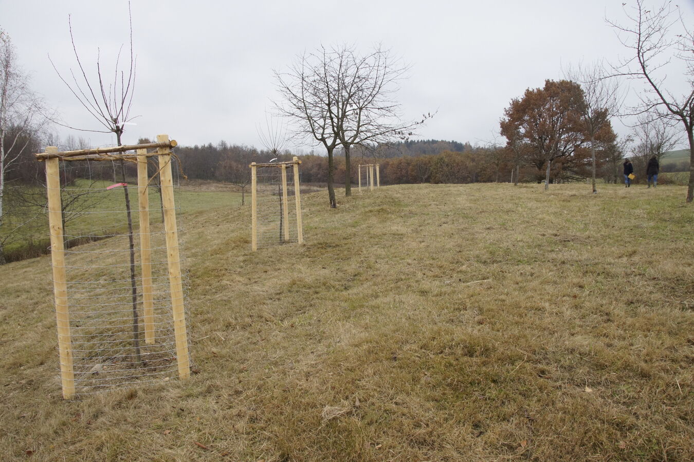 Streuobstwiese Weißbach