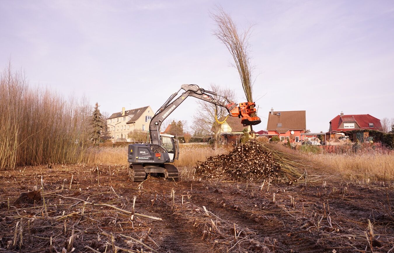 Biotoppflege Kulkwitzer Lachen