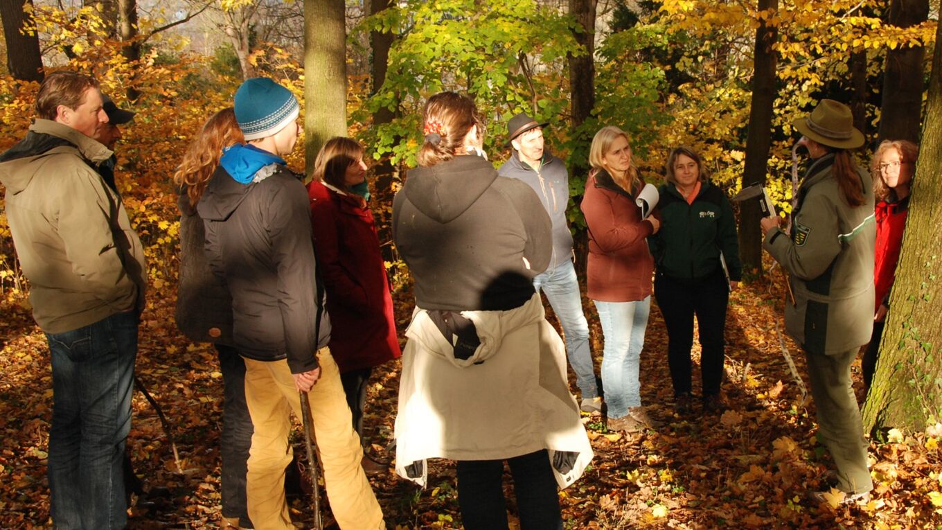 Gruppe von Lehrgangsteilnehmern stehen im Wald zusammen und hören einer Försterin zu