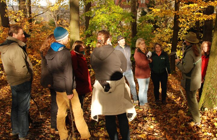 Gruppe von Lehrgangsteilnehmern stehen im Wald zusammen und hören einer Försterin zu