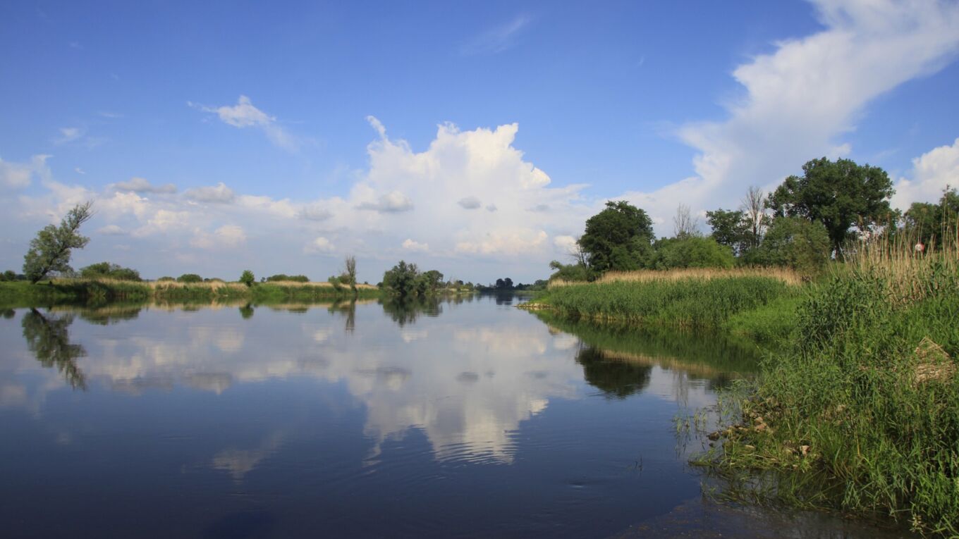 Eine unverbaute Flusslandschaft - so stellt sich die EU-WRRL Flüsse in Europa vor.
