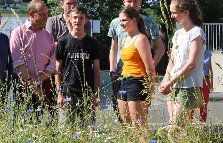 Link: Umweltminister Günther würdigt Initiative für Insektenvielfalt »Sachsen blüht«