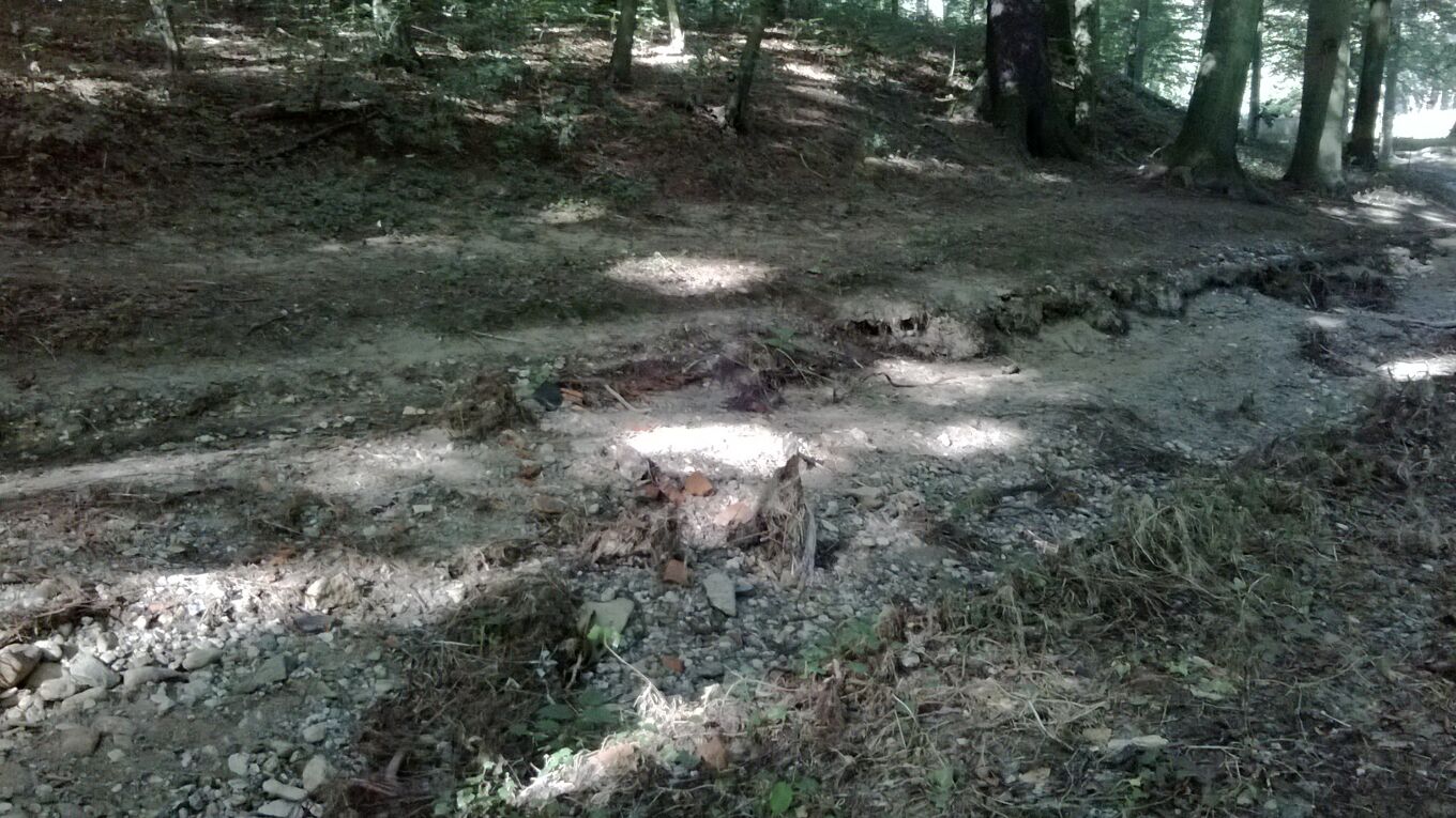 Uferauswaschungen nach Mulde-Flut