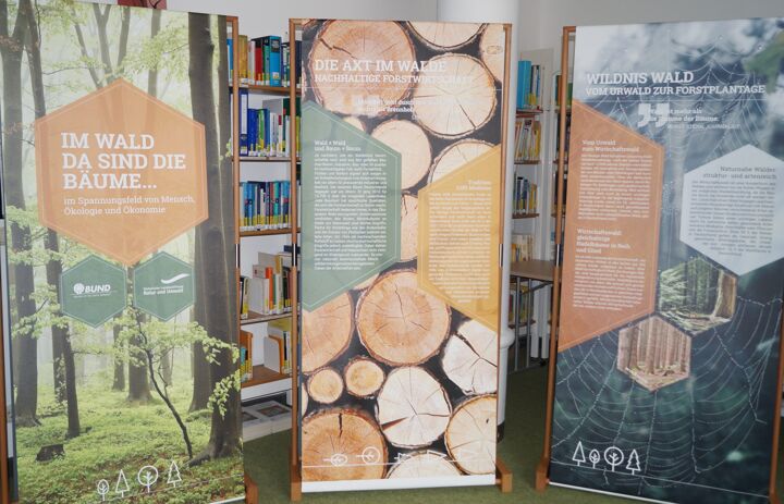 Drei Informationstafeln mit waldtypischen Motiven. - Link: Wanderausstellung Im Wald da sind die Bäume