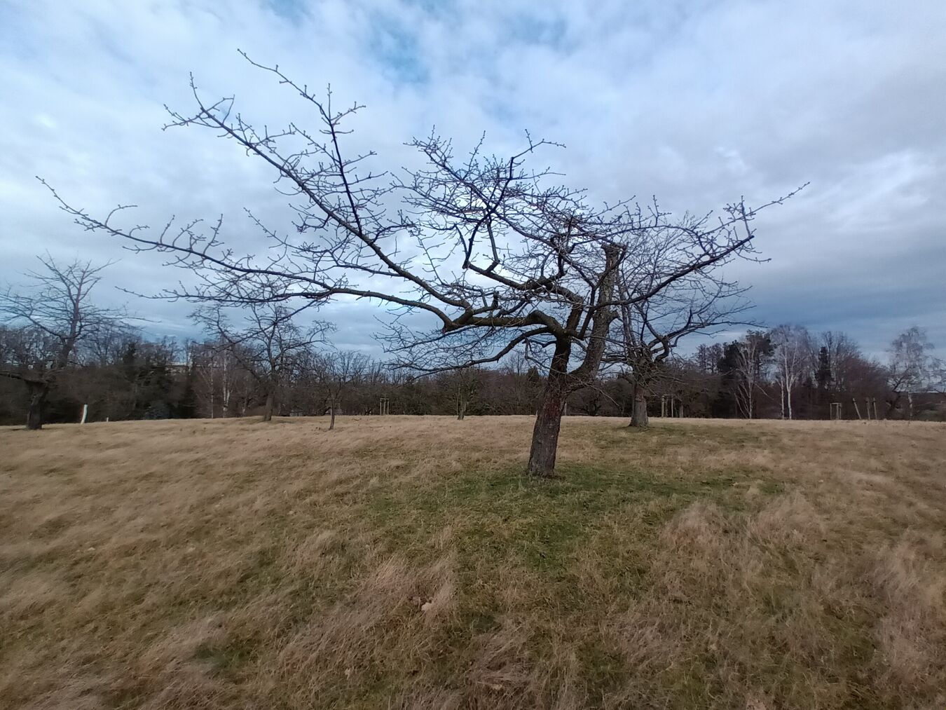Winterstimmung in Trebsen