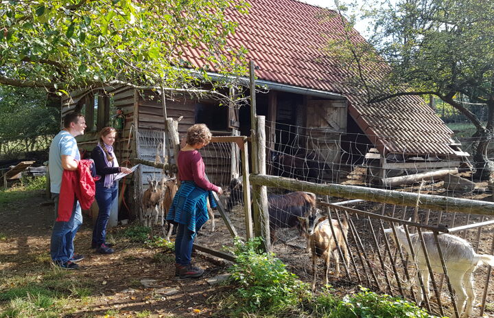 Seminarteilnehmende stehen am Ziegengatter des Bildungshauses Johannishöhe in Tharandt