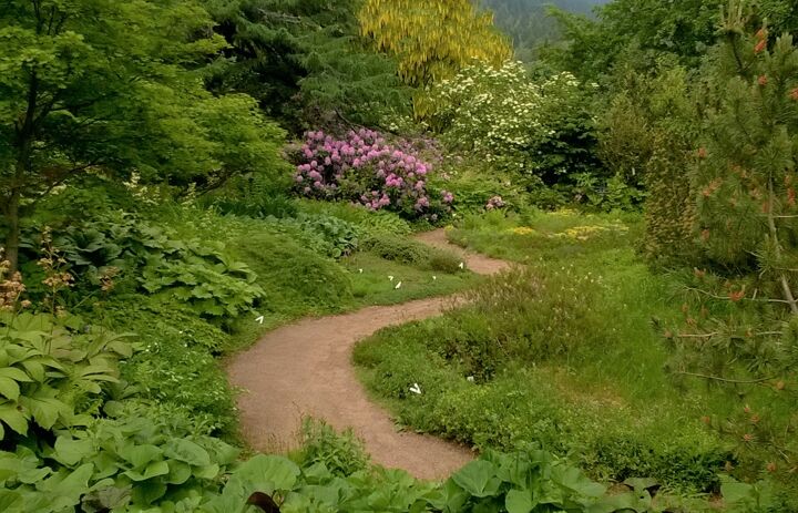 Weg durch den Botanischen Garten Schellerhau,
Foto: Botanischer Garten Schellerhau