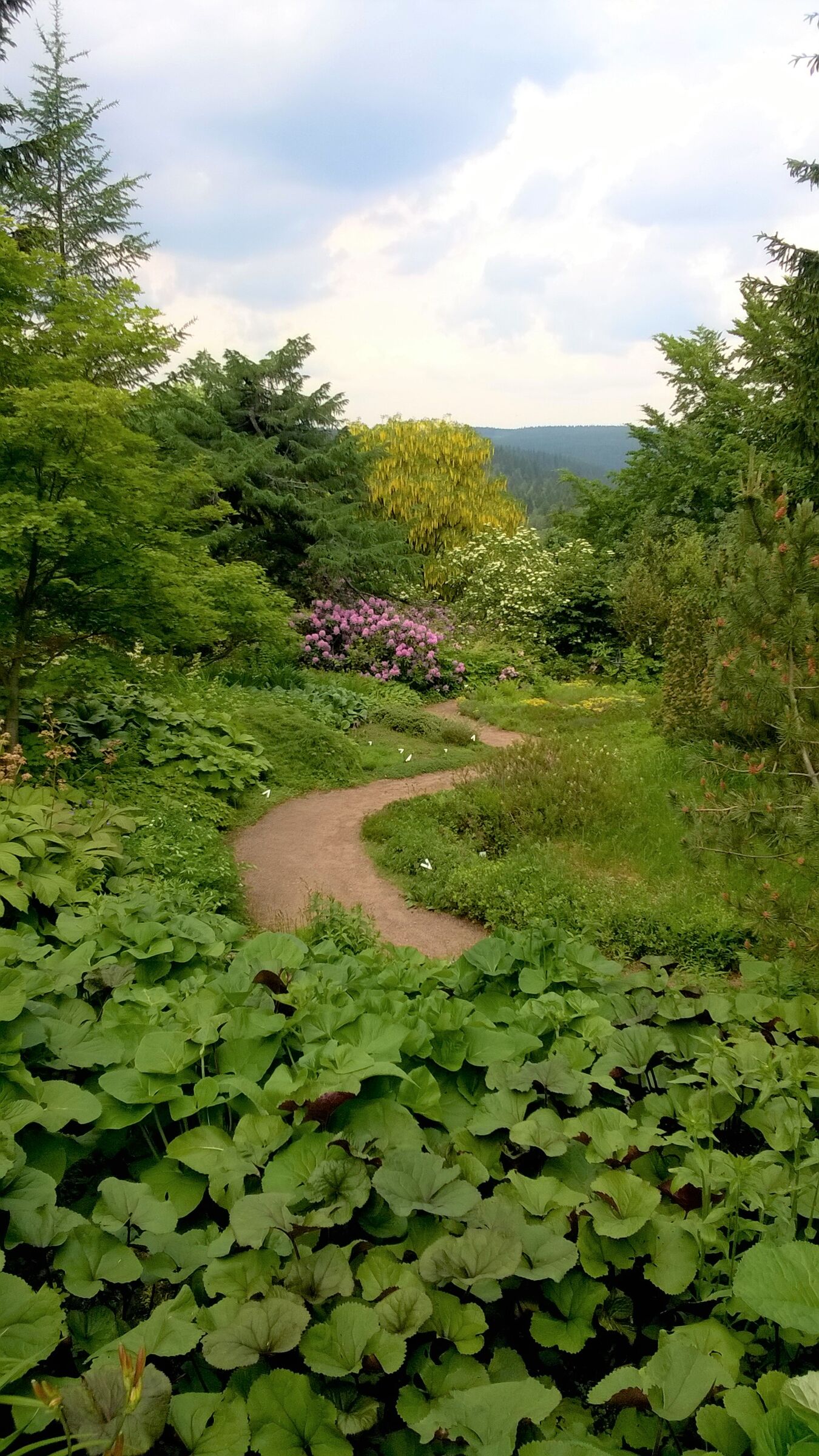 Weg durch den Botanischen Garten Schellerhau,