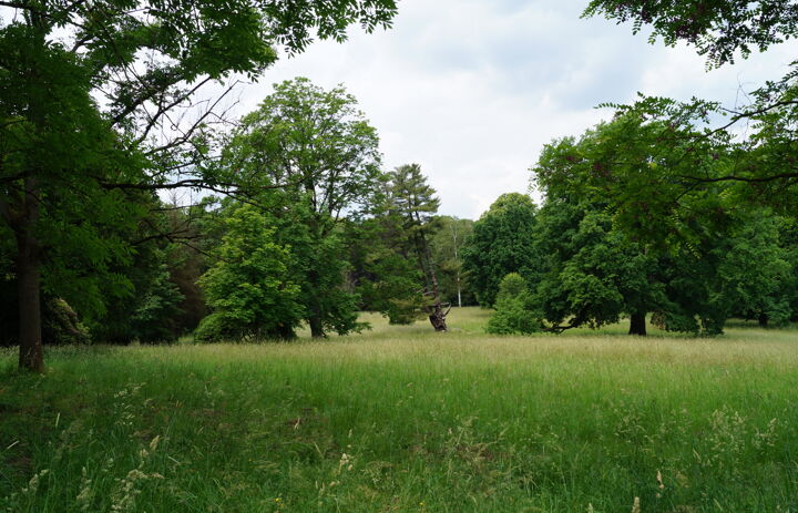 Link: Die Natur ist erwacht im Schlosspark Wechselburg