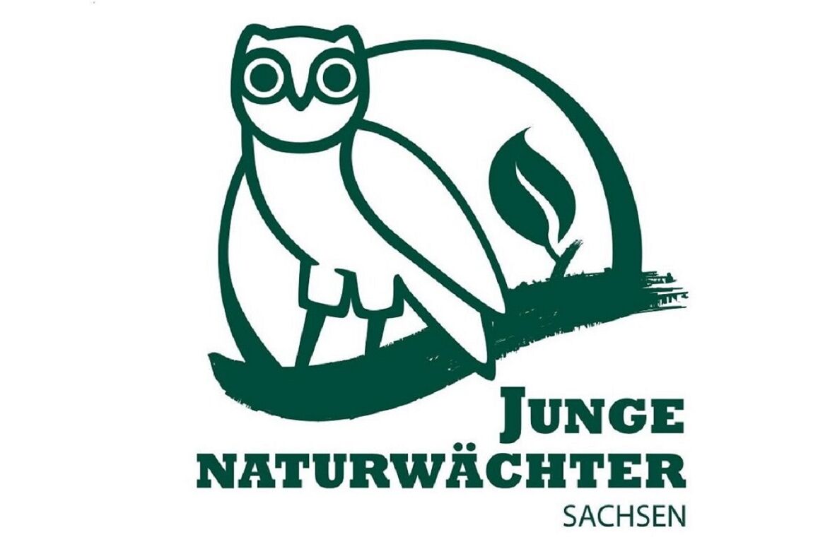 Grünes Logo der jungen Naturwächter Sachsen. Eine Eule sitzt auf einem Ast.