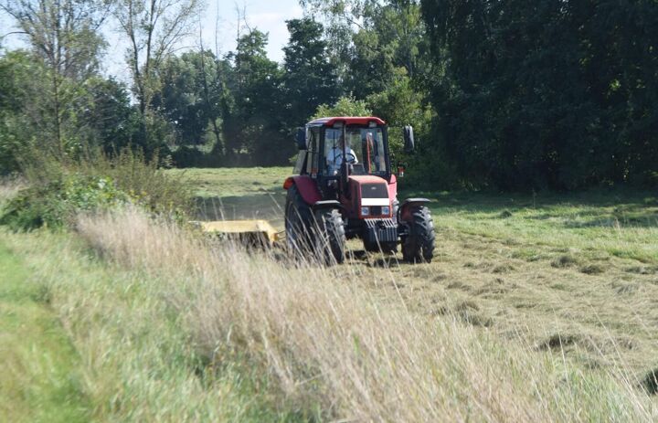 Traktor mäht eine Wiese.