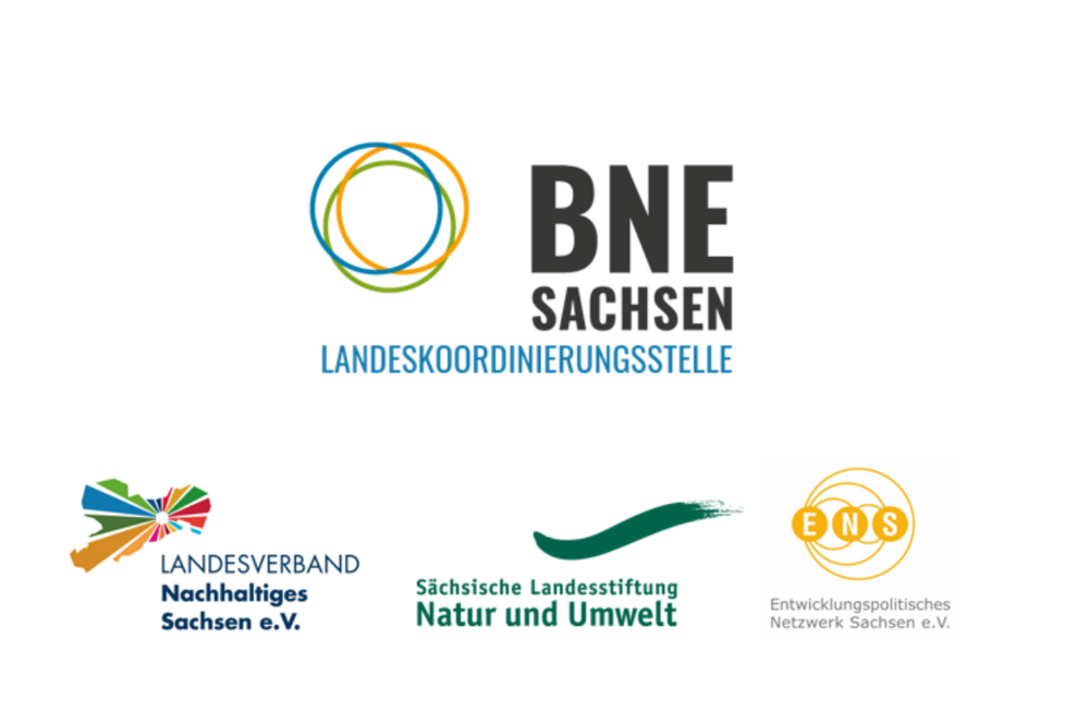 Auf dieser Grafik wird das Netzwerk der Landeskoordinierungsstelle mit den 8 zugeordneten Servicestellen BNE im Freistaat Sachsen dargestellt.