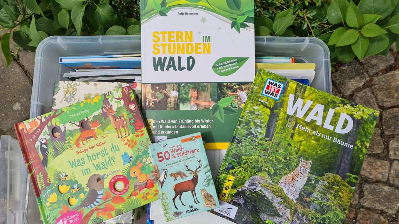 Zu sehen sind Bücher und Broschüren aus der Umweltmedienkiste Wald