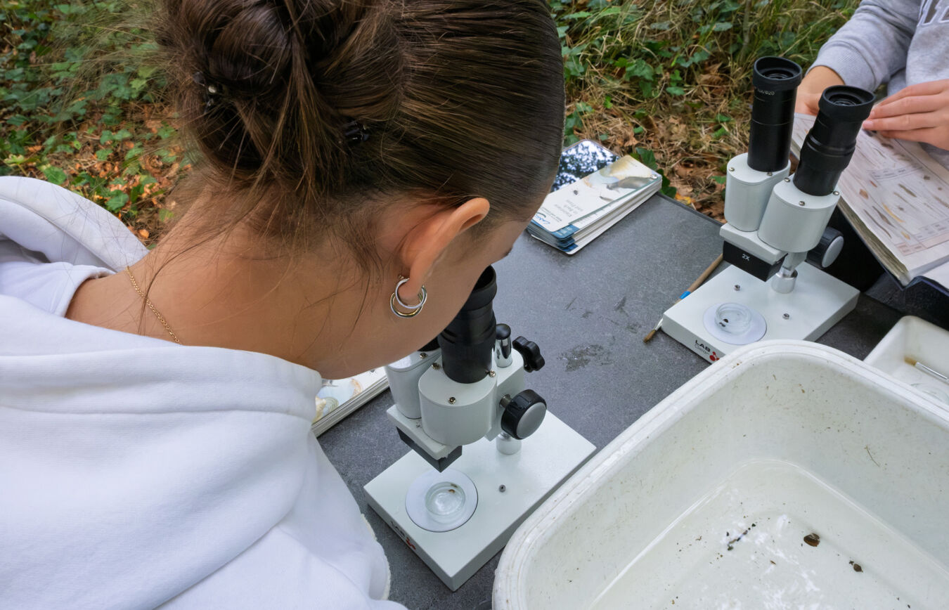 Tag der Flüsse: Kleinstlebewesen der Zwickauer Mulde unter dem Mikroskop am Umweltmobil