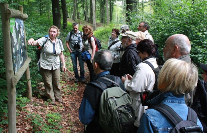 Menschen nehmen an an Führung im Wald teil und lassen sich eine Lehrtafel erklären
