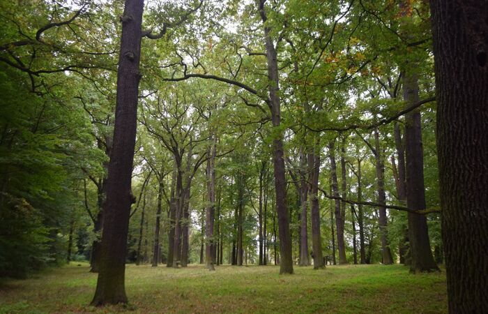 Blick in den Schlosspark Wechselburg