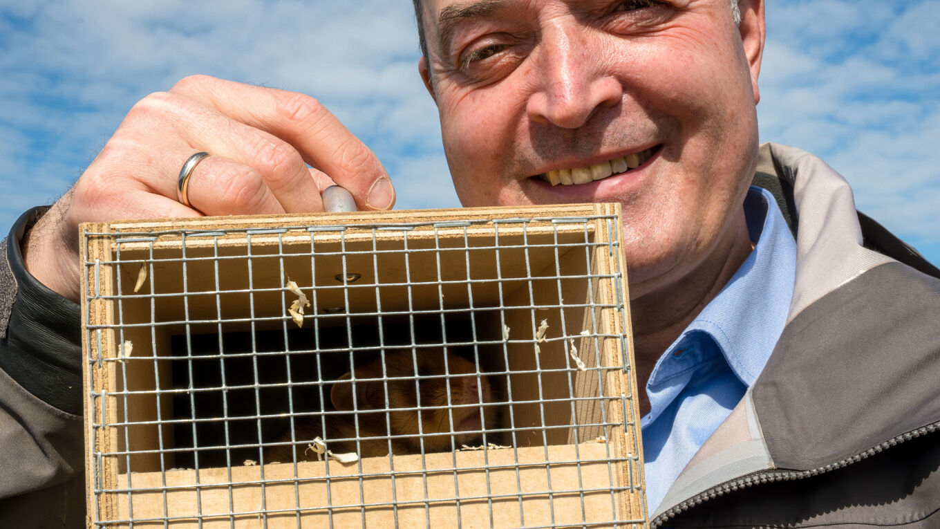 Stiftungsdirektor hält eine Transportbox mit einem Feldhamster in der Hand, scheu ist in der hinteren Ecke der Box der Feldhamster zu erkennen