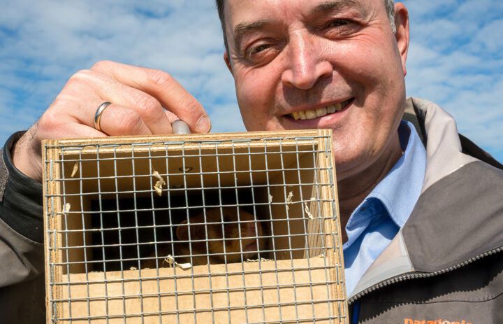 Stiftungsdirektor hält eine Transportbox mit einem Feldhamster in der Hand, scheu ist in der hinteren Ecke der Box der Feldhamster zu erkennen - Link: „LIFE4HamsterSaxony“: LaNU unterstützt Auswilderung bedrohter Feldhamster