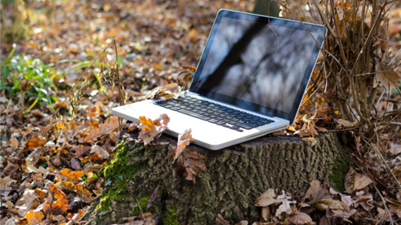 Laptop auf einem Baumstumpf im Wald