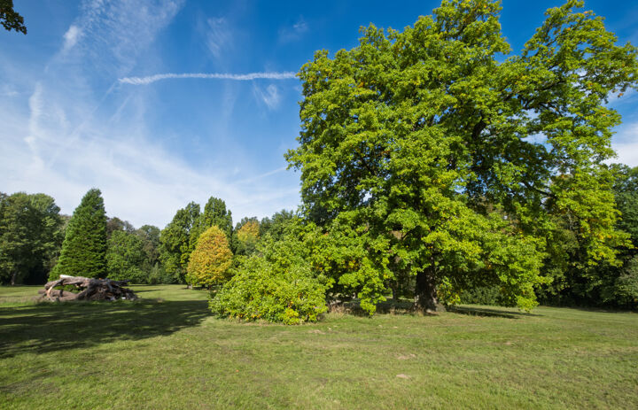 Blick auf den Wechselburger Park zu Beginn des Herbstes