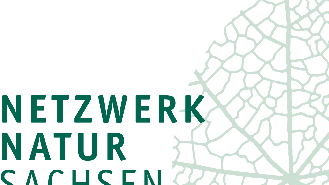 Logo des Netzwerk Natur Sachsen