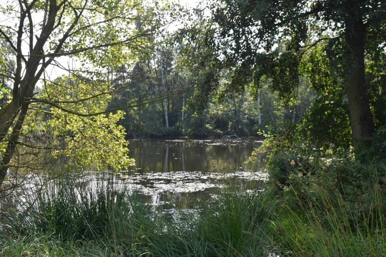 Blick aufs Wasser