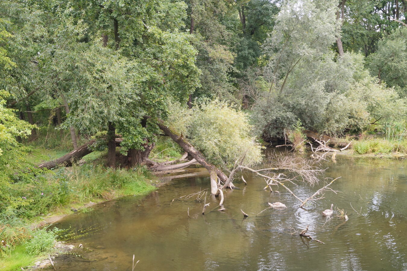 Wölkau1