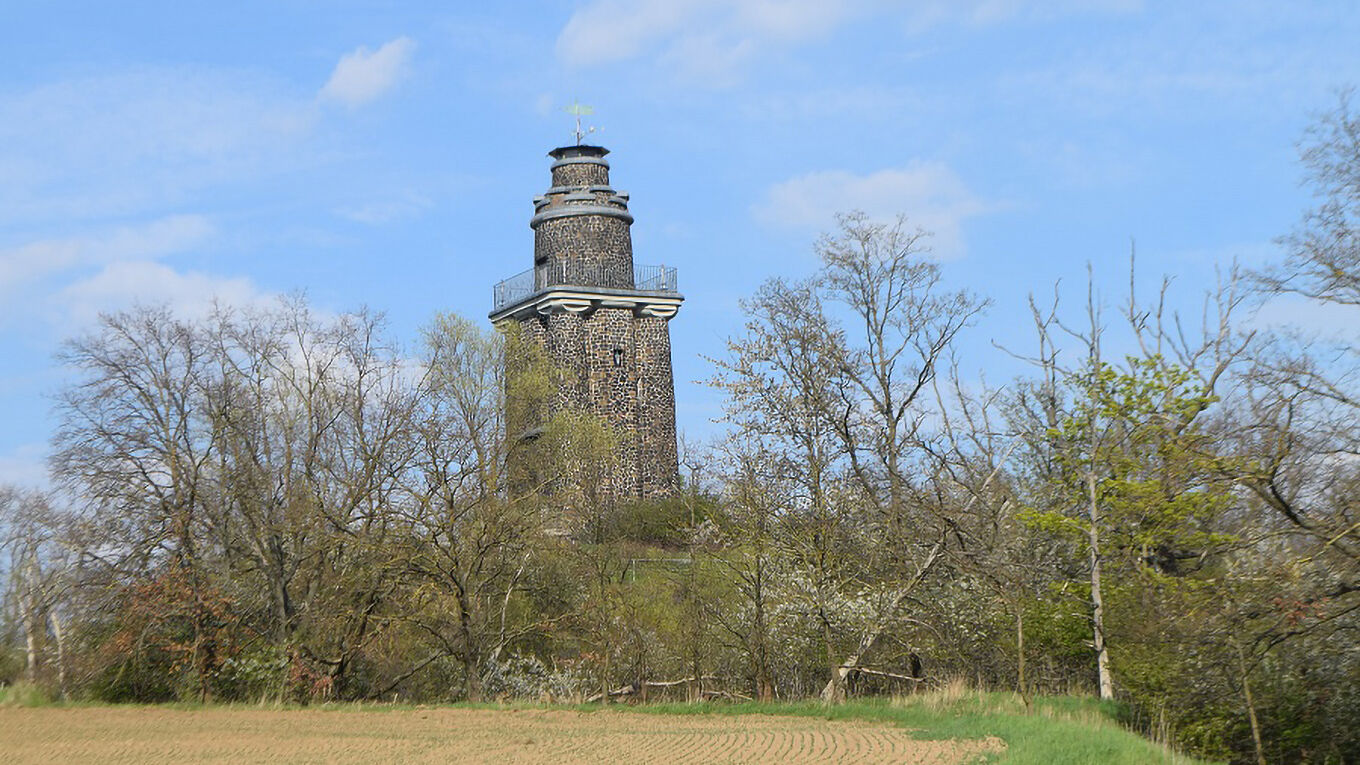 Blick auf den Aussichtsturm auf dem 148,5 Meter hohen Wachtelberg im Naturschutzgebiet „Wachtelberg-Mühlbachtal“