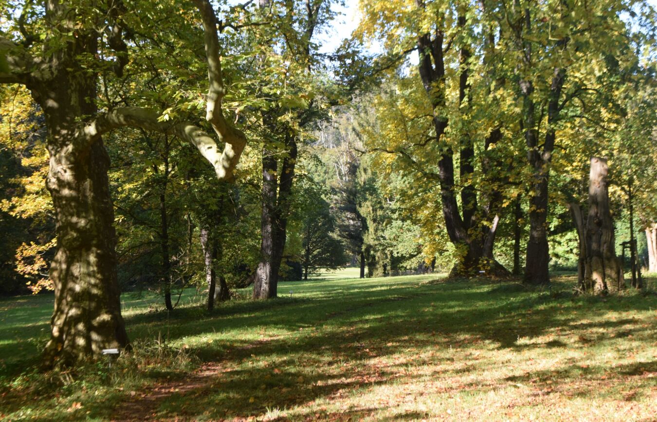 Schlosspark Wechselburg