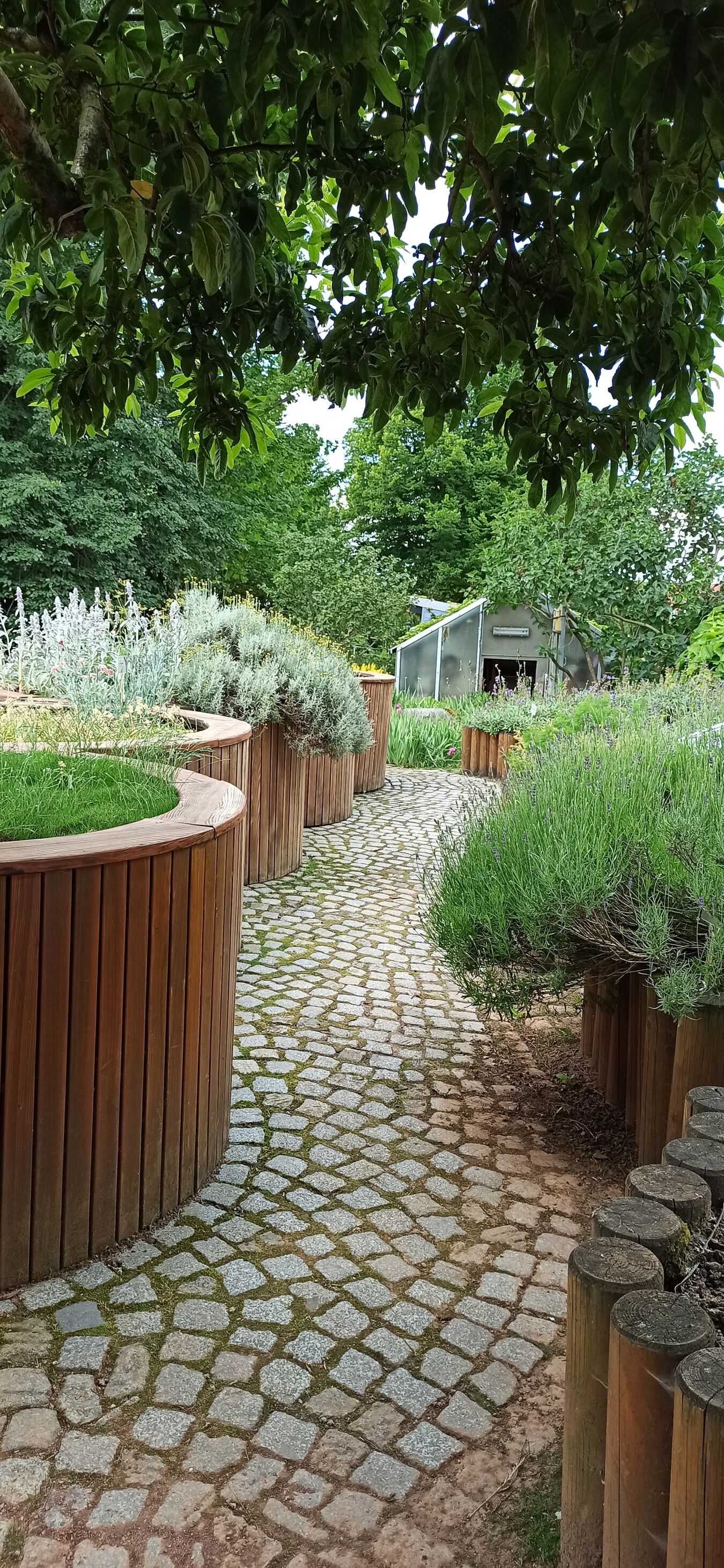 Hochbeete im Botanischen Blindengarten Radeberg
