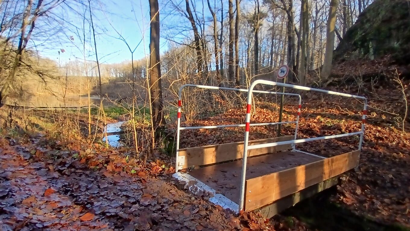 Neue Brücke am Giksteich