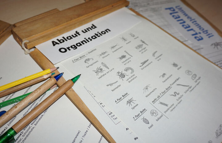 Ein Holzklemmbrett mit einem Lehrblatt zu Käfern mit der Überschrift "Ablauf unfd Organisation". Neben dem Klemmbrettl liegt eine Auswahl von Stiften bereit.