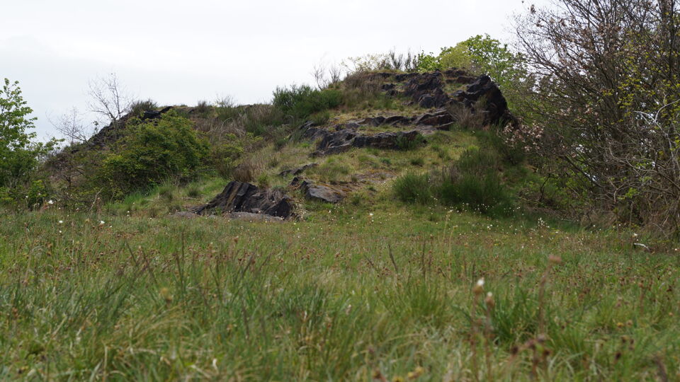 Felsstandort und Trockenrasen auf der LaNU-Fläche Dehnitz Wachtelberg-Mühlbachtal