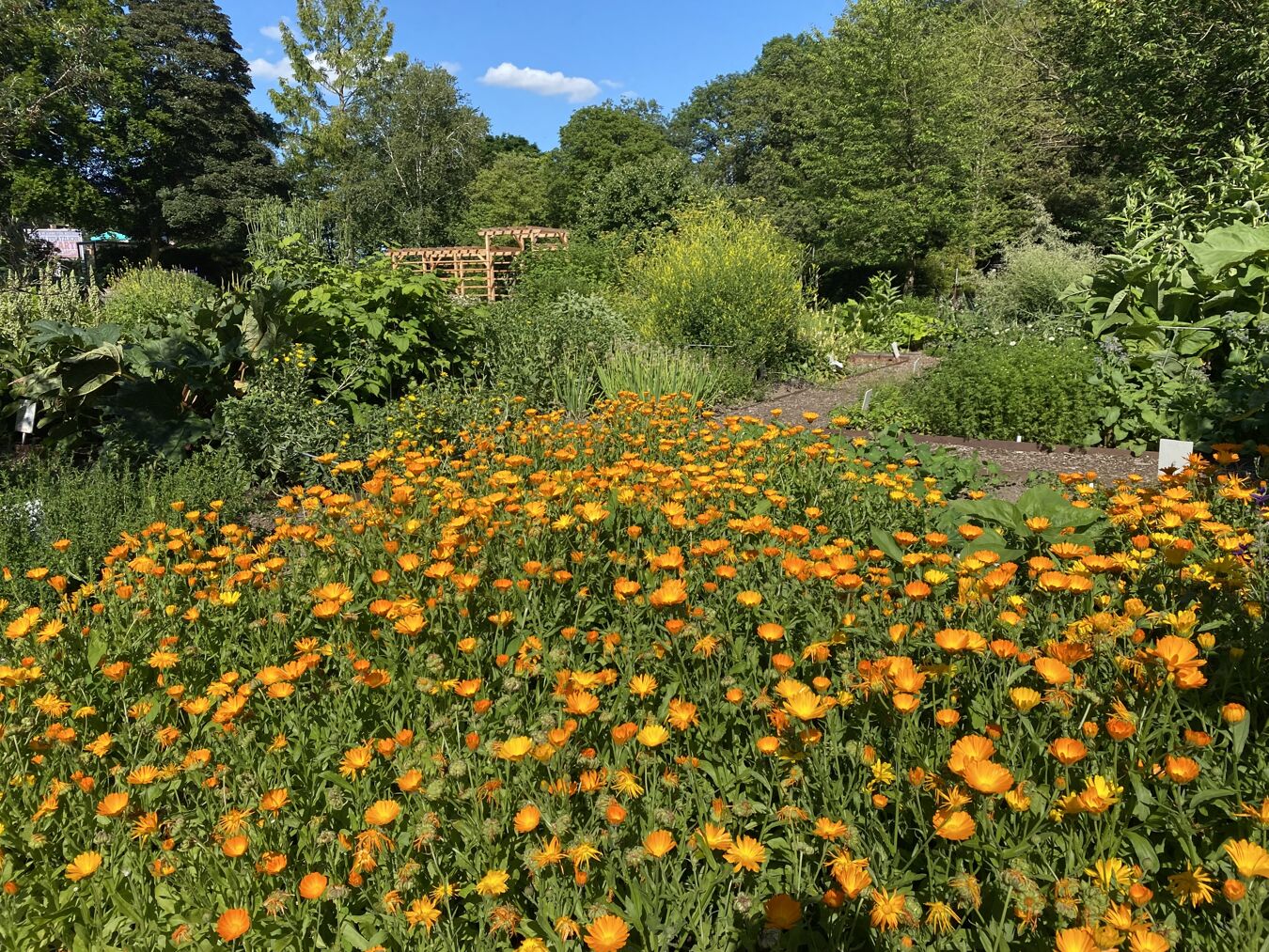 Botanischer Garten Chemnitz