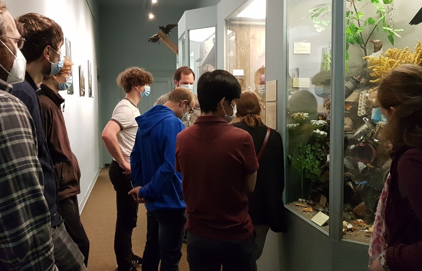 Terrarium