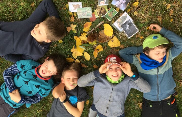 JuNa-Kinder liegen entspannt auf der Wiese mit Herbstblättern