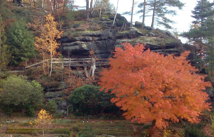Herbststimmung im Pflanzengarten Stadt Wehlen, Foto: Pflanzengarten Stadt Wehlen