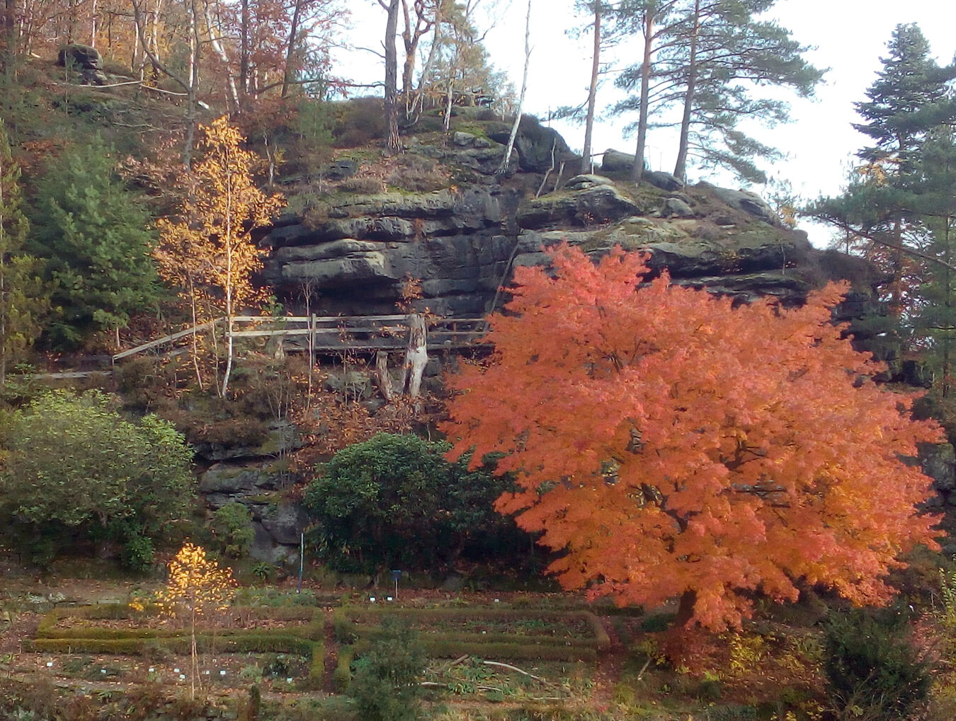 Herbststimmung im Pflanzengarten Stadt Wehlen