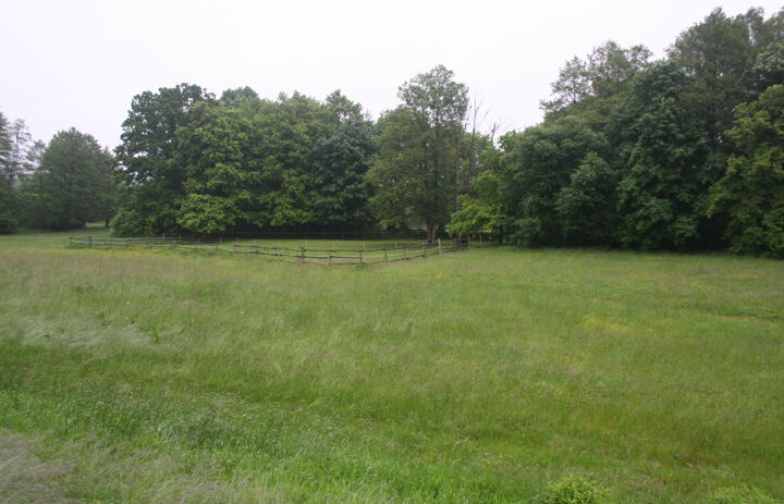 Wiese mit Weidegatter im Hintergrund.