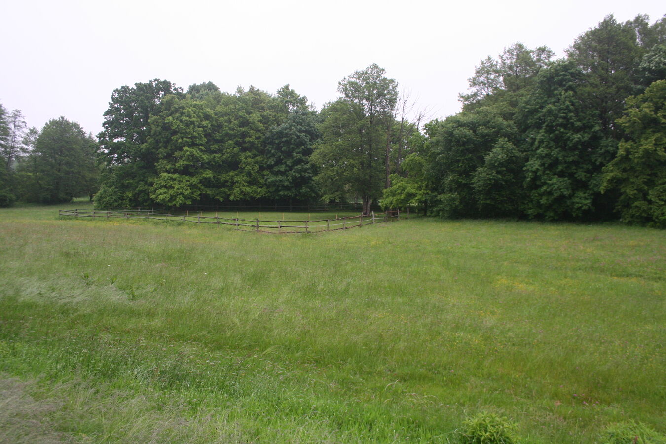 Wiese.Bad.Muskau