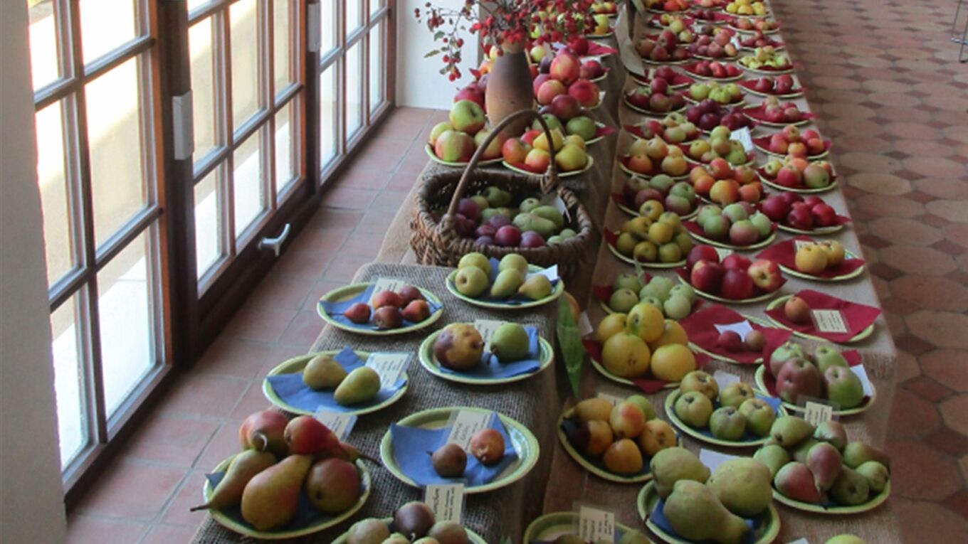 Obstsorten