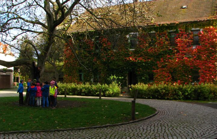 Das Bild zeigt einige Kinder der Kindernaturschutzgruppe "Aktion Ameise" am Gruppentreffpunkt im Garten der Grundschule in Dresden Briesnitz. - Link: Briesnitzer Ameisen / Aktion Ameise