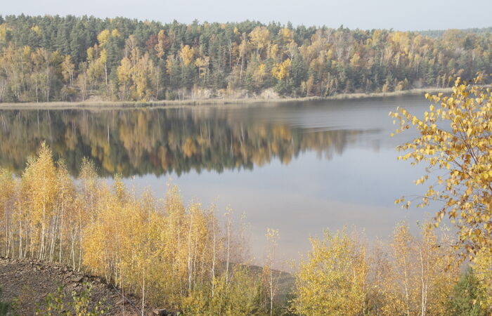 Blick in die Bergbaufolgelandschaft Zeißholz