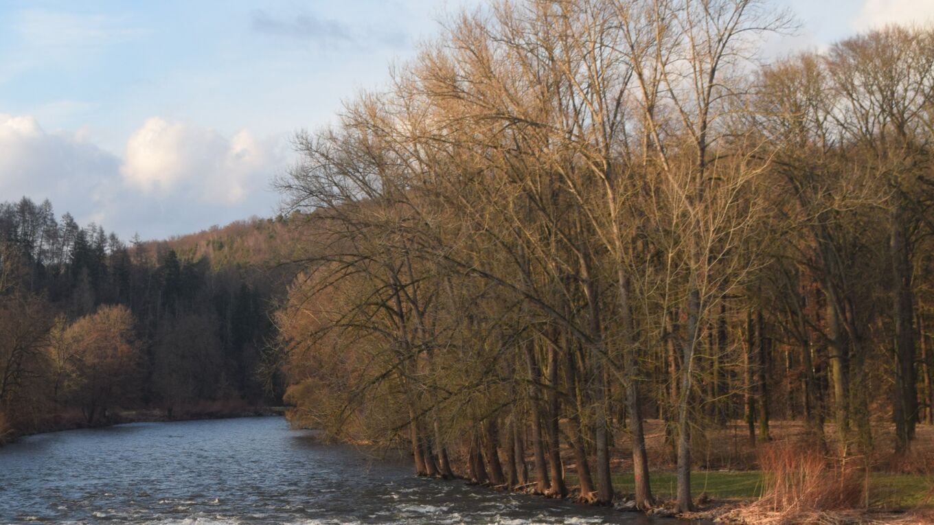 Naturnahe Zwickauer Mulde unweit des Schlossparks Wechselburg