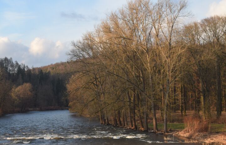 Naturnahe Zwickauer Mulde unweit des Schlossparks Wechselburg - Link: Sachsen will mit Innovationen eine Herkulesaufgabe lösen
