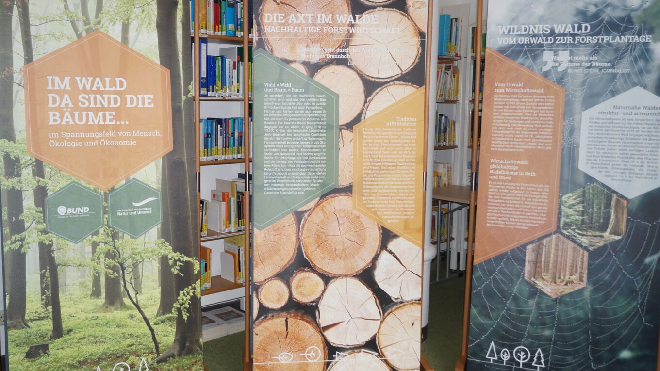 Mobile Ausstellung der LaNU zum Thema Wald