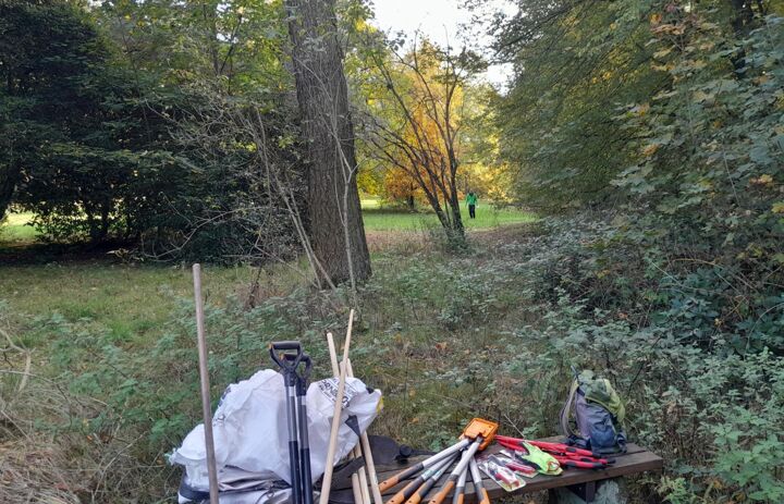 Stillleben Park Wechselburg: Gartengeräte - Link: Neue Weymouthskiefer für den Schlosspark Wechselburg   